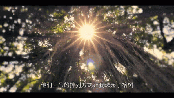 印度家族集體死亡案,細思極恐 印度家族集體死亡案,細思極恐