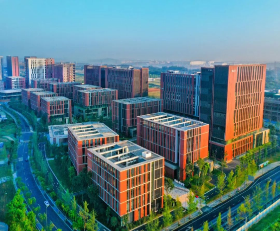 社會藍皮書：超八成青年月收入8000元以下，過半每天工作超8小時