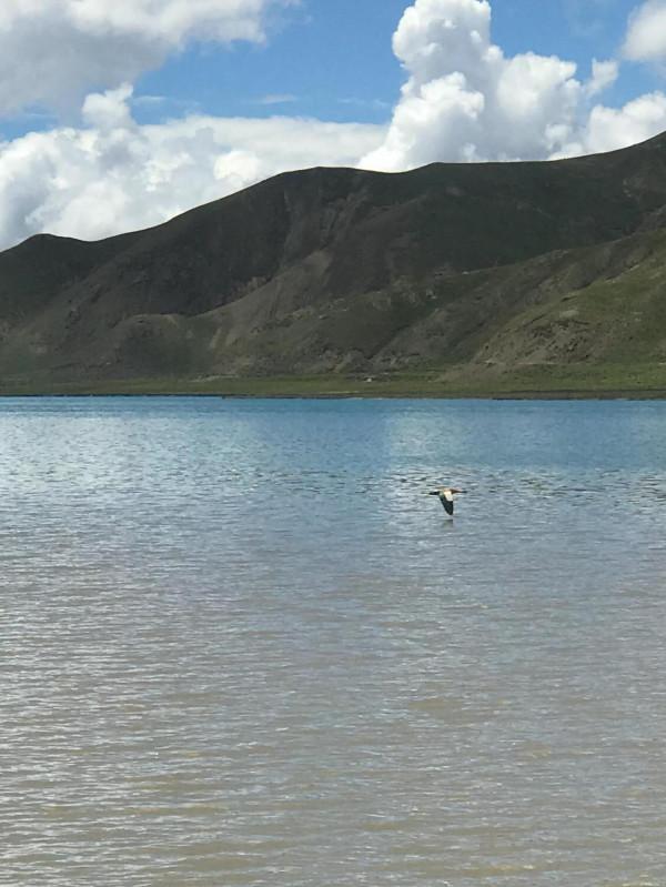 雲上西藏之羊卓雍錯的歡愉 雲上西藏之羊卓雍錯的歡愉