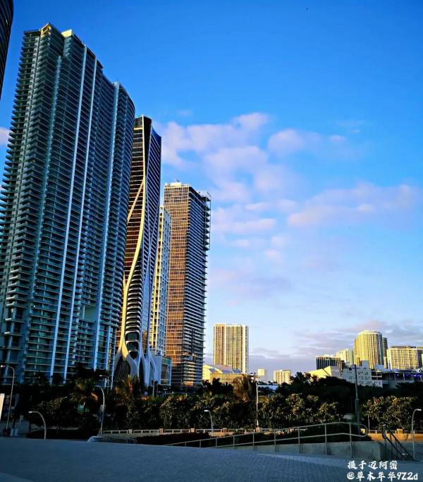 邁阿密之淒涼聖誕