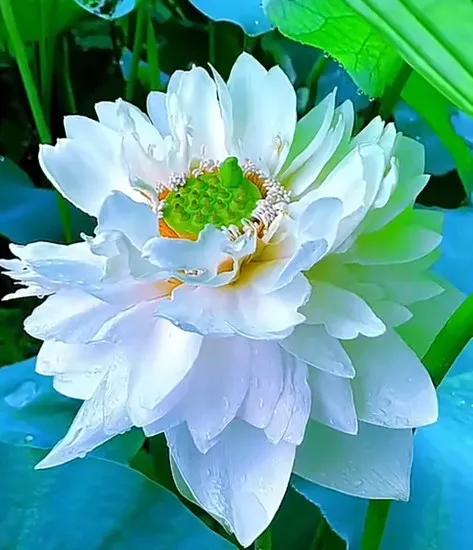 哪個時候讓你明白錢的重要性？