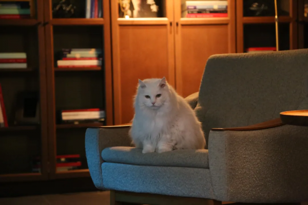 幹飽飯，才有力氣營業