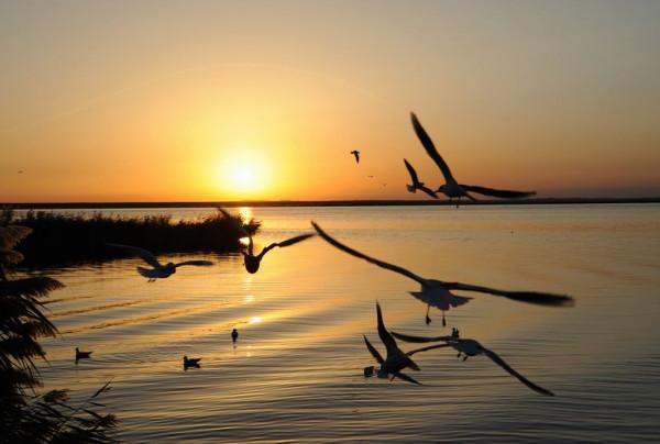 “大漠孤煙直,長河落日圓”,去看看王維筆下沙漠中的那個居延海 “大漠孤煙直,長河落日圓”,去看看王維筆下沙漠中的那個居延海