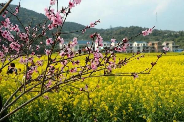 2022年旅行計劃,按著月份走,一鍵解鎖各大美景,快快收藏 2022年旅行計劃,按著月份走,一鍵解鎖各大美景,快快收藏