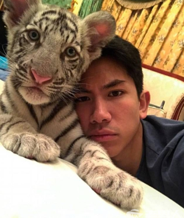 汶萊最帥王子堪比哈曼丹:母親和王后平起平坐,準王妃是豪門千金 汶萊最帥王子堪比哈曼丹:母親和王后平起平坐,準王妃是豪門千金