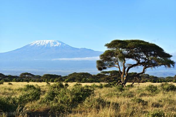 稱霸非洲，揭秘“非洲手機之王”傳音成功的秘密