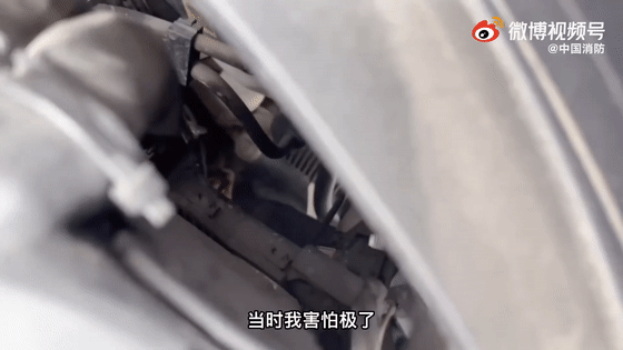 貓咪賴上兵哥哥？這畫面，糖分超標了吧