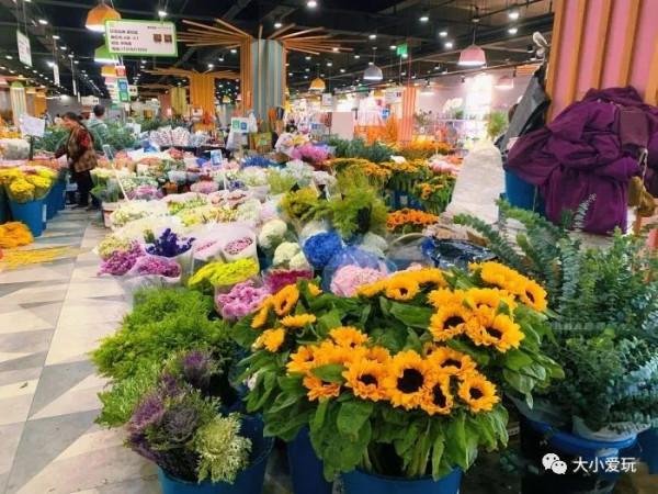 京城八大寶藏花市裡,藏著孩子最愛的植物園和水族館,冬日逛起來 京城八大寶藏花市裡,藏著孩子最愛的植物園和水族館,冬日逛起來