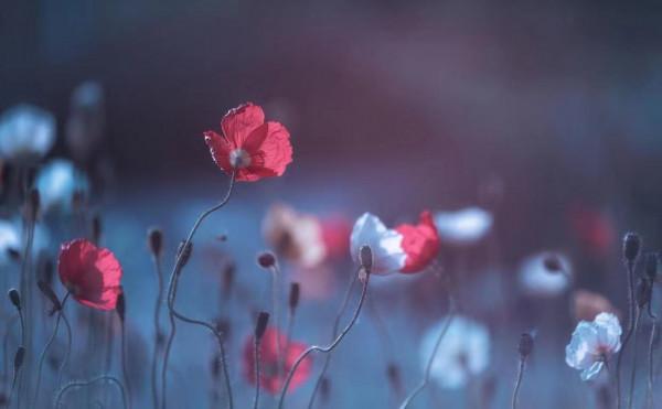 彆著急，順其自然，一切皆有定數