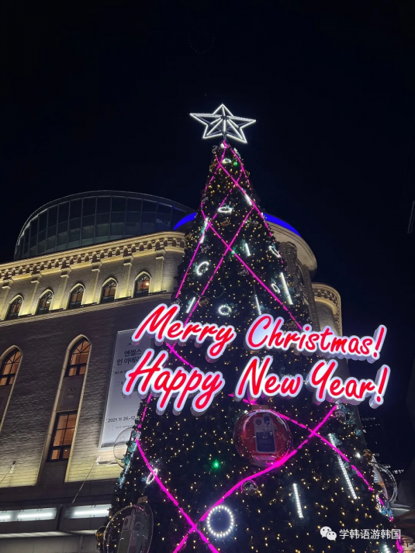 「遊」韓國疫情下的聖誕，氛圍感十足