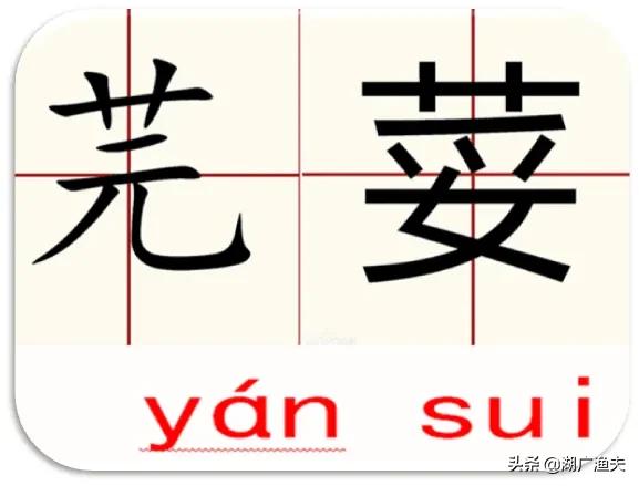 抻敨、靈醒、趿靸……湖北話常用詞彙,您會寫嗎(第四批) 抻敨、靈醒、趿靸……湖北話常用詞彙,您會寫嗎(第四批)