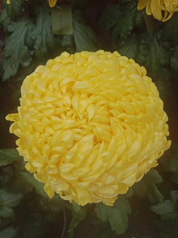 你對名字瞭解多少? 你對名字瞭解多少?