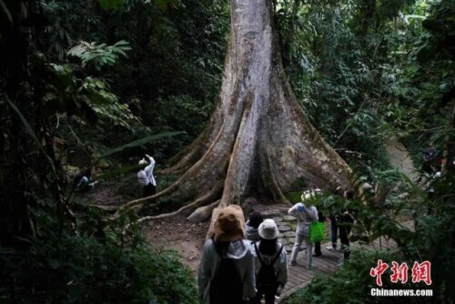 為什麼是雲南？看完我就開始查機票了……
