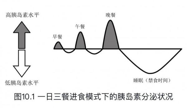 &OpenCurlyDoubleQuote;少吃多餐&rdquo;是騙局？不但不能減肥還會增肥