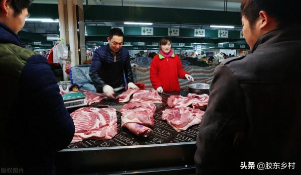 2022年三屠共豬，春節豬肉會漲價嗎？科學分析比農村俗語更靠譜