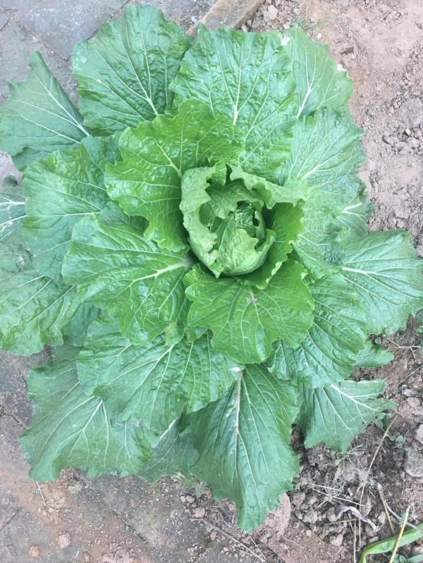 我何時才能有個屬於自己的小窩 我何時才能有個屬於自己的小窩