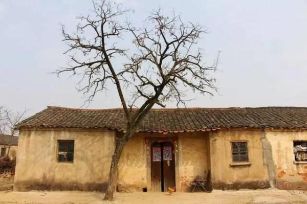 民國農村探案：雨夜樹上三人被困樹下現雙屍，稚童看出端倪破兇案