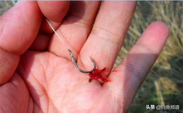 用紅蟲釣魚的這些調漂技巧，助你冬釣輕鬆爆護