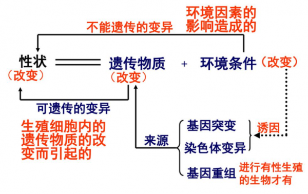 進化論要被顛覆了嗎?《自然》最新研究:基因突變不是隨機的 進化論要被顛覆了嗎?《自然》最新研究:基因突變不是隨機的
