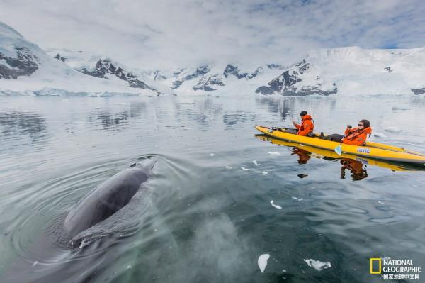 南極洲的夏天是什麼樣子的？