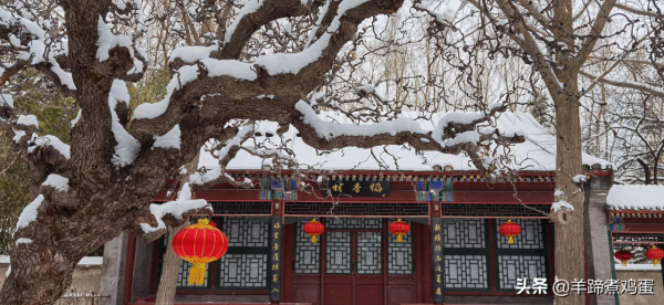 難覽觀園全畫景 雪覆臘梅一隅香&mdash;&mdash;踏雪尋遊北京大觀園
