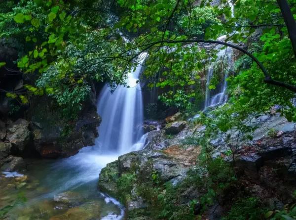 趣旗自駕線路分享：歡聚小年，共剪窗花，泡樹上溫泉，住樹上木屋