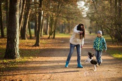 養 寵 物 的 文 明 養 寵 物 的 文 明