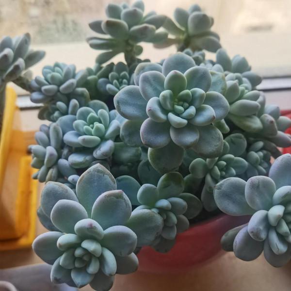 生活就是自己找樂趣