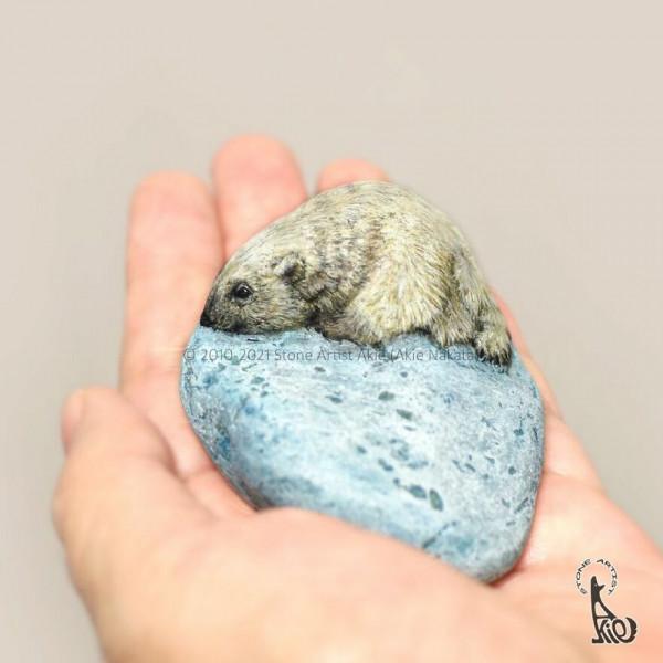 日本藝術家的石頭藝術，這麼玩石頭問過石頭的感受嗎？