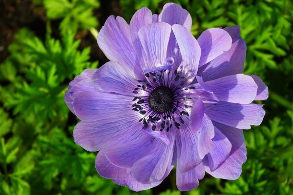 金牛座10月運勢詳解，專注學習，提高自我，自信的感覺會很舒暢