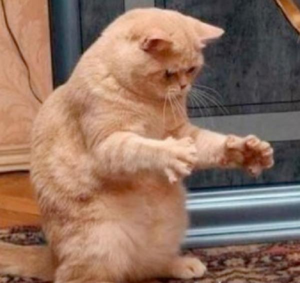 三種拿低分的學生作文，敗筆各有千秋，求語文老師的心理陰影面積