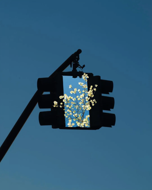 精明不如厚道,計較不如坦誠,強勢不如和善 精明不如厚道,計較不如坦誠,強勢不如和善