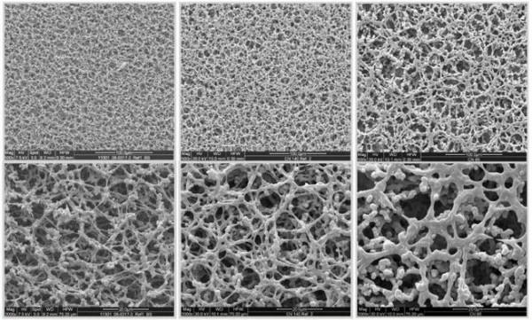 快速診斷試劑的儲備上升到國家安全了？