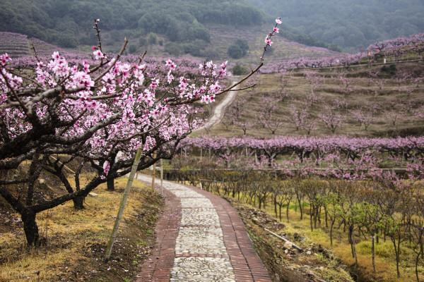 懂變通,是一種簡單思維,更是一種人生大智慧 懂變通,是一種簡單思維,更是一種人生大智慧