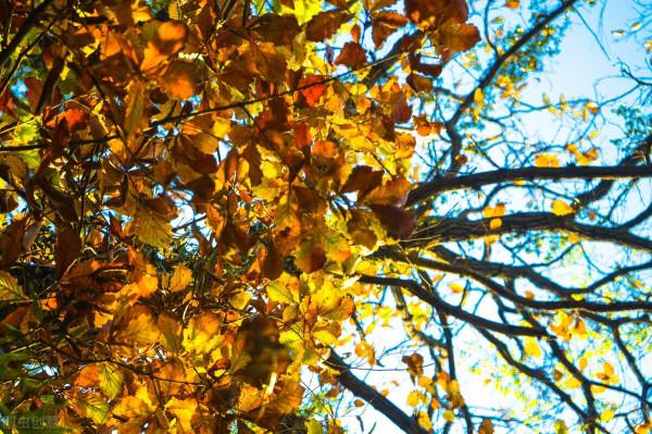 小而美的生活也是一種幸福 小而美的生活也是一種幸福