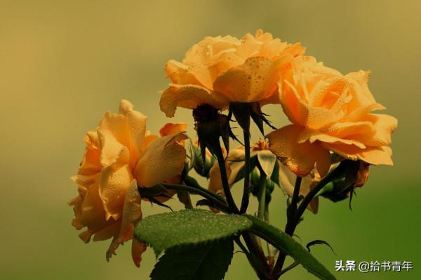 自己消化情緒，是成年人該有的自覺