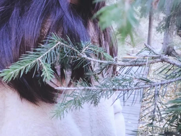 中秋遊新疆 | 去天池 尋找秋天的童話 中秋遊新疆 | 去天池 尋找秋天的童話