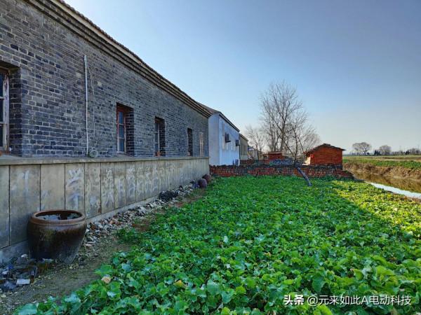 Realme GT 2手機拍照效果