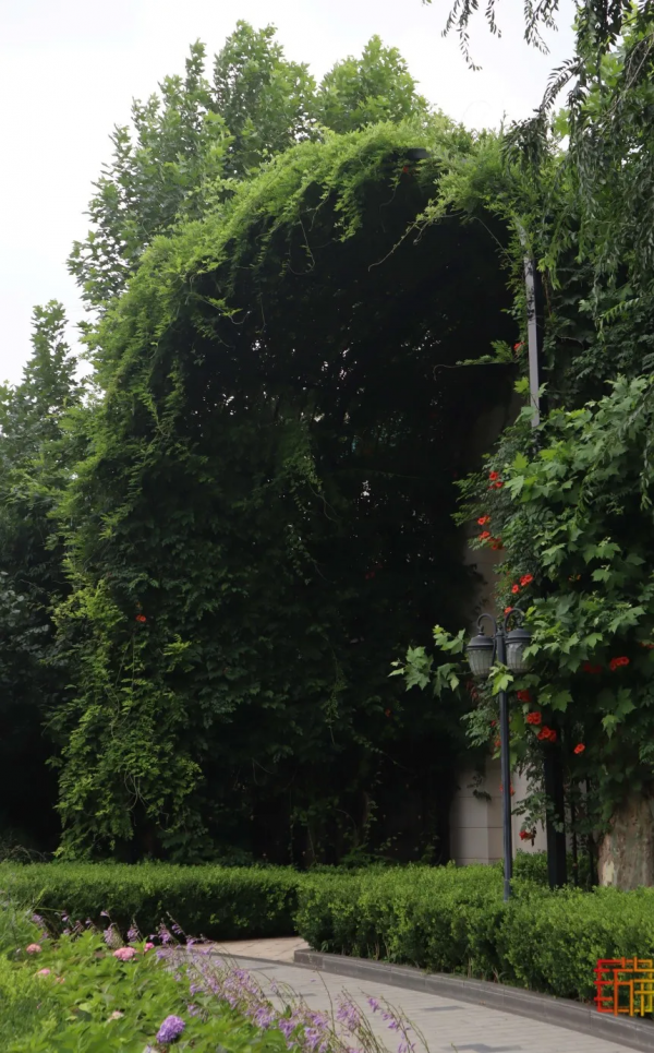 免費！北京超小眾寶藏莊園，濃濃法式風情！小洋樓絕美！