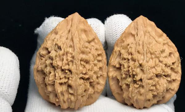 驢打滾獅子頭、野生鱘獅子頭、魚麟虎獅子頭…我就聽你接著編