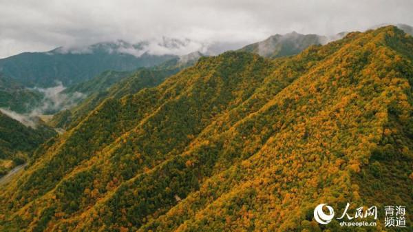 “青海最美公路”秋意怡人
