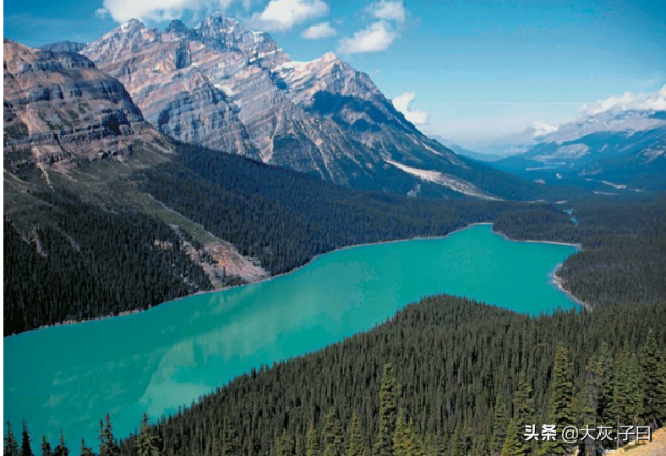 面對《不去會死》，你會如何選擇？