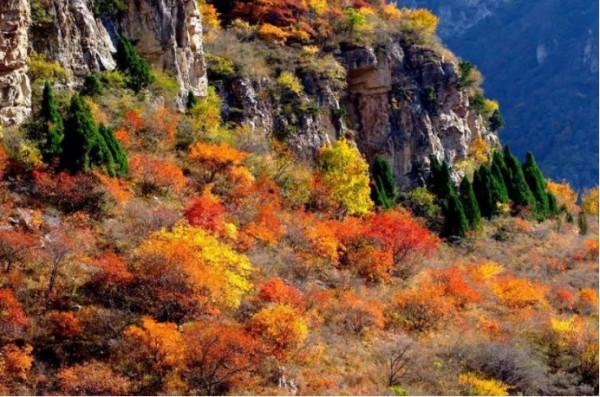 這個秋天,待疫情結束,牽手去旅行 這個秋天,待疫情結束,牽手去旅行