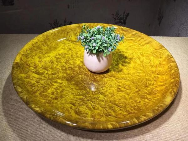 大自然造化神奇！黃金樟爆滿瘤疤·大果盤