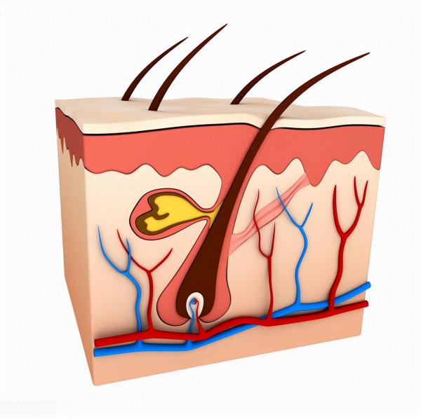 防脫救星?養生神器?黑芝麻糊真有這麼神嗎?一文帶你走出誤區 防脫救星?養生神器?黑芝麻糊真有這麼神嗎?一文帶你走出誤區