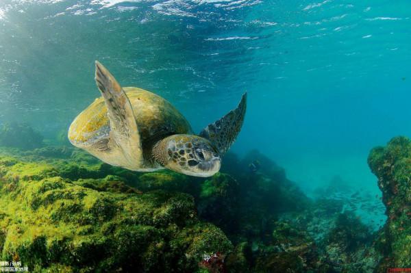 《國家地理》領略自然風光六
