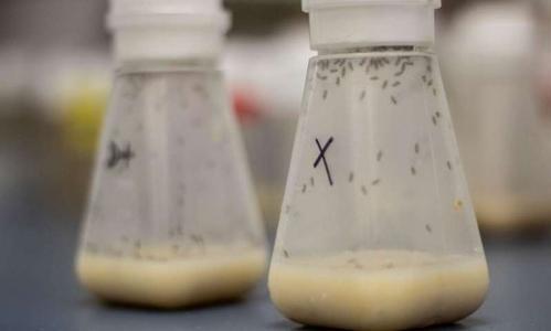 吃得少活得久，這種說法可信嗎？難道飯量小的人易長壽？