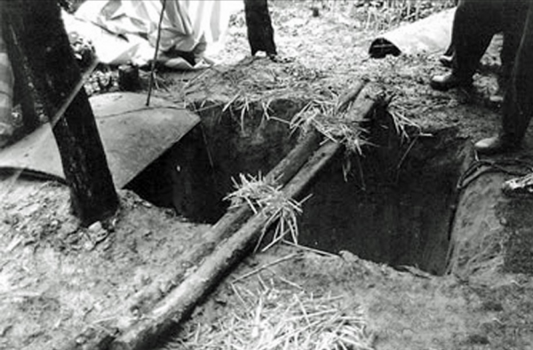 全國重點古墓群被盜，守墓人發現之後不敢上報，自己填了盜洞