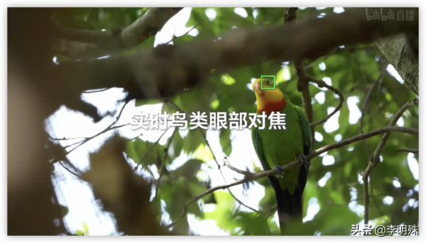 如何評價索尼在2021年10月21日釋出的全畫幅微單A7M4？