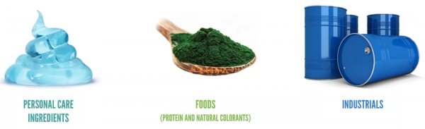 合成生物學技術助力生物固碳，溫室氣體成為第三代生物煉製原料